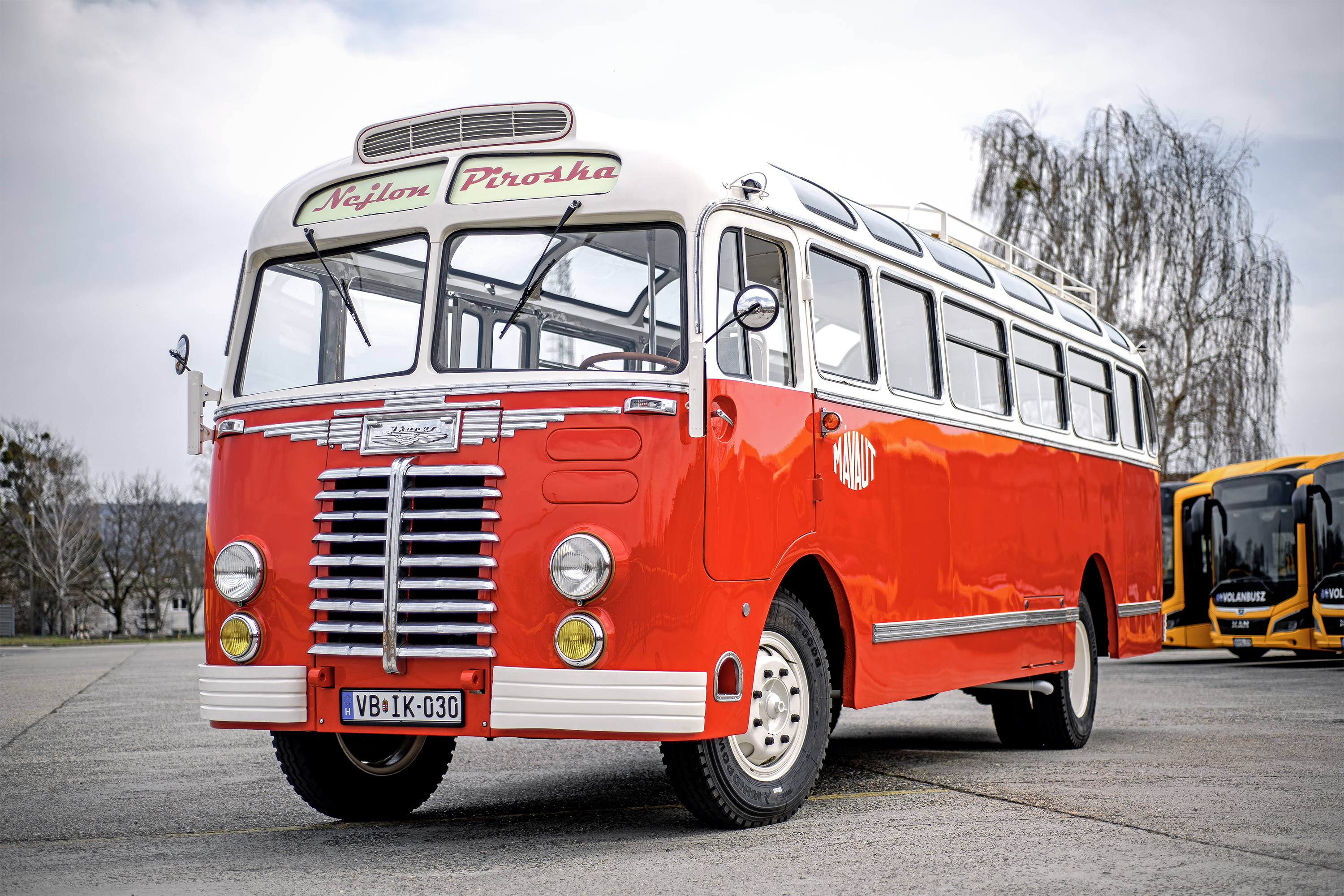 Ikarus 30
