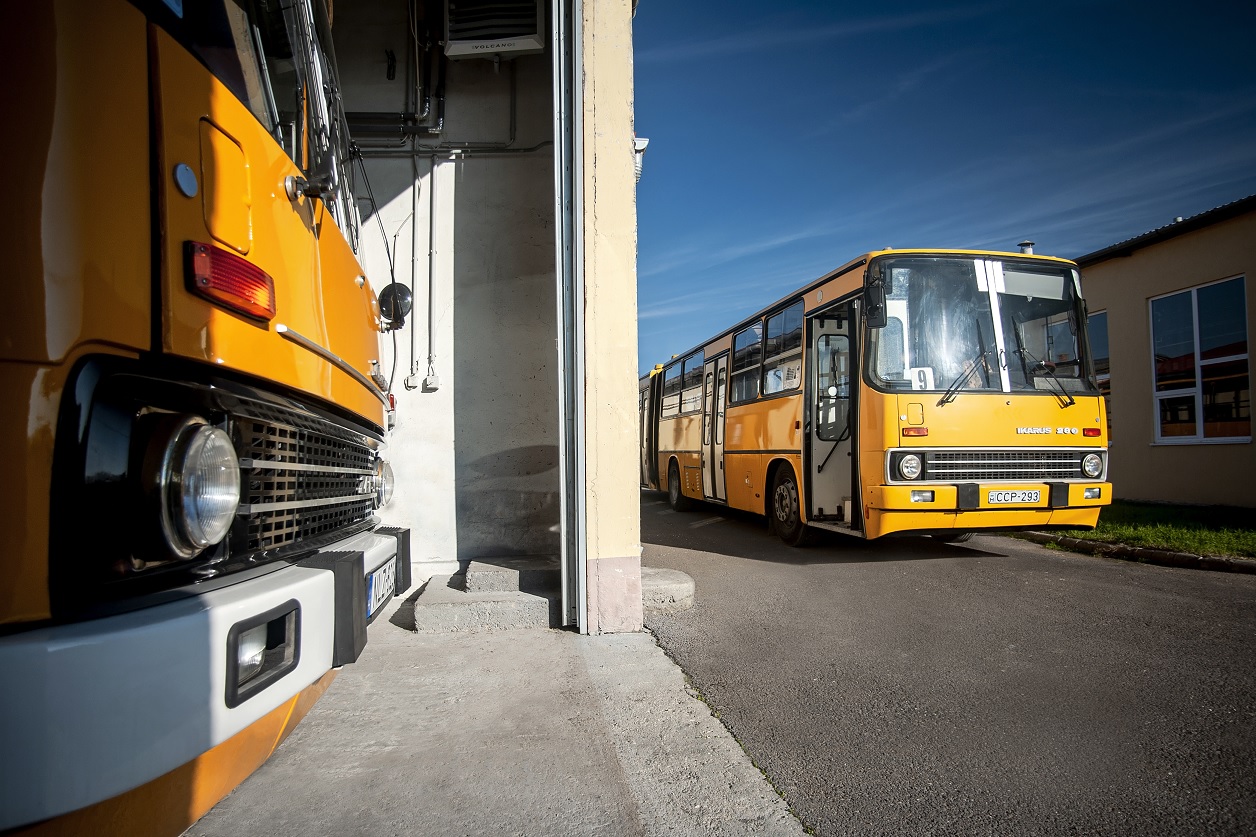 A képen két régi Ikarus 200-as típusú autóbusz látható.
