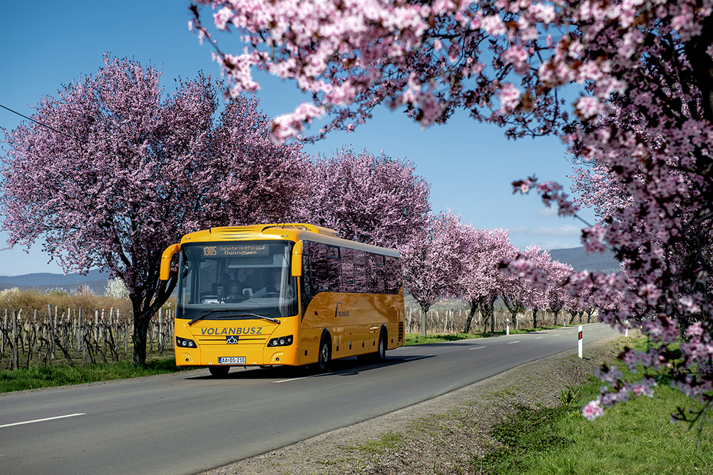 Gyöngyöstarjáni vérszilvasor Volánbusszal