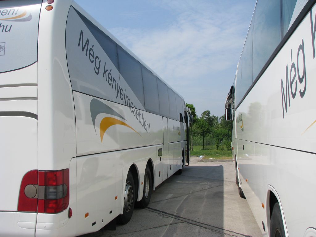 A képen  az újonnan forgalomba helyezett MAN autóbuszok láthatók, hátsó nézetből.