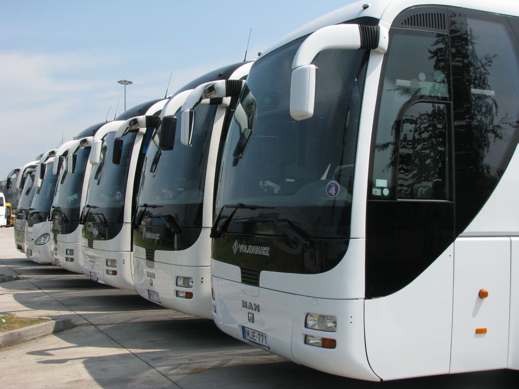 A képen az újonnan forgalomba helyezett MAN autóbuszok láthatók felsorakoztatva egymás mellett.