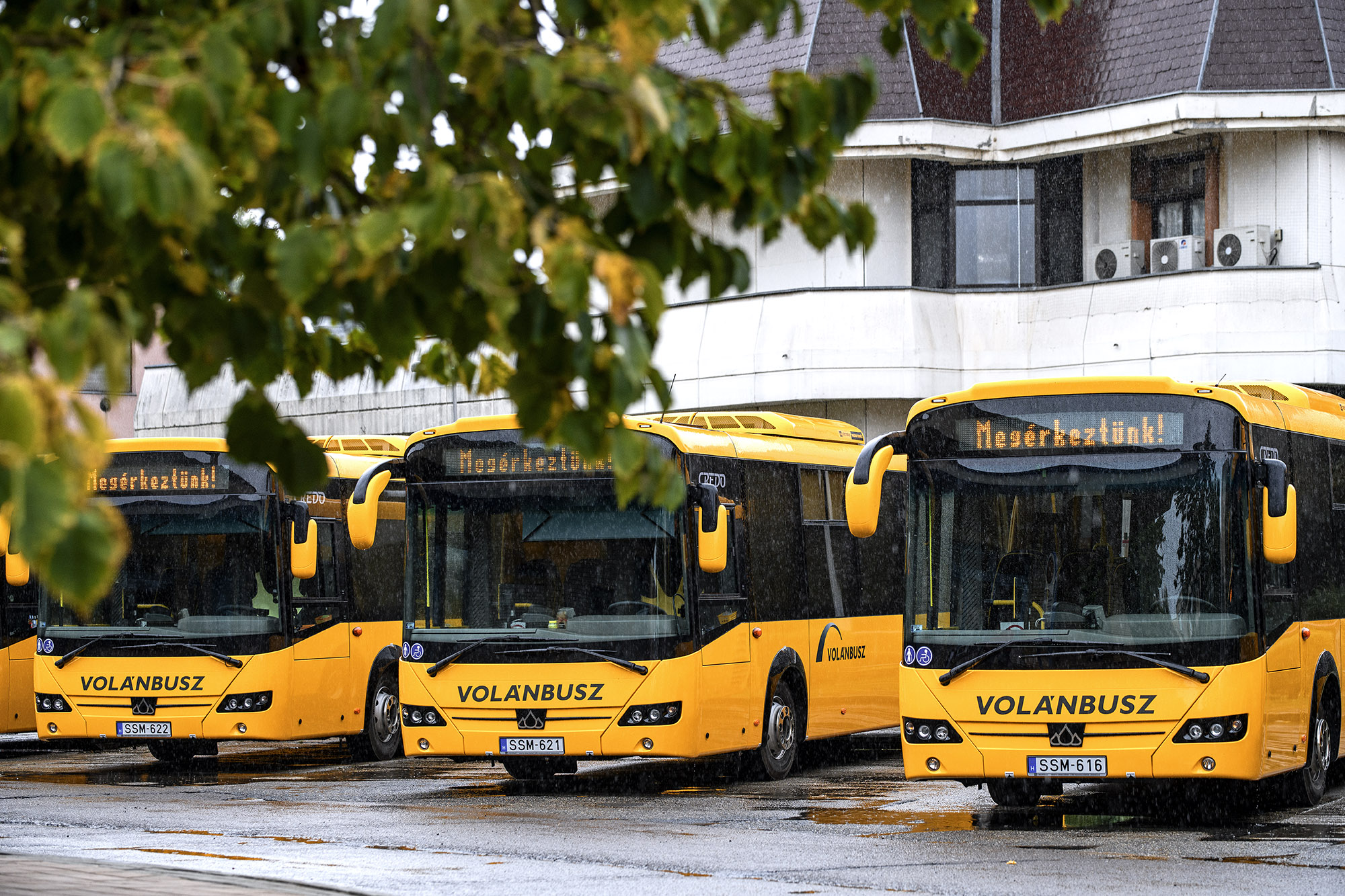 A képen látható: az új autóbuszok