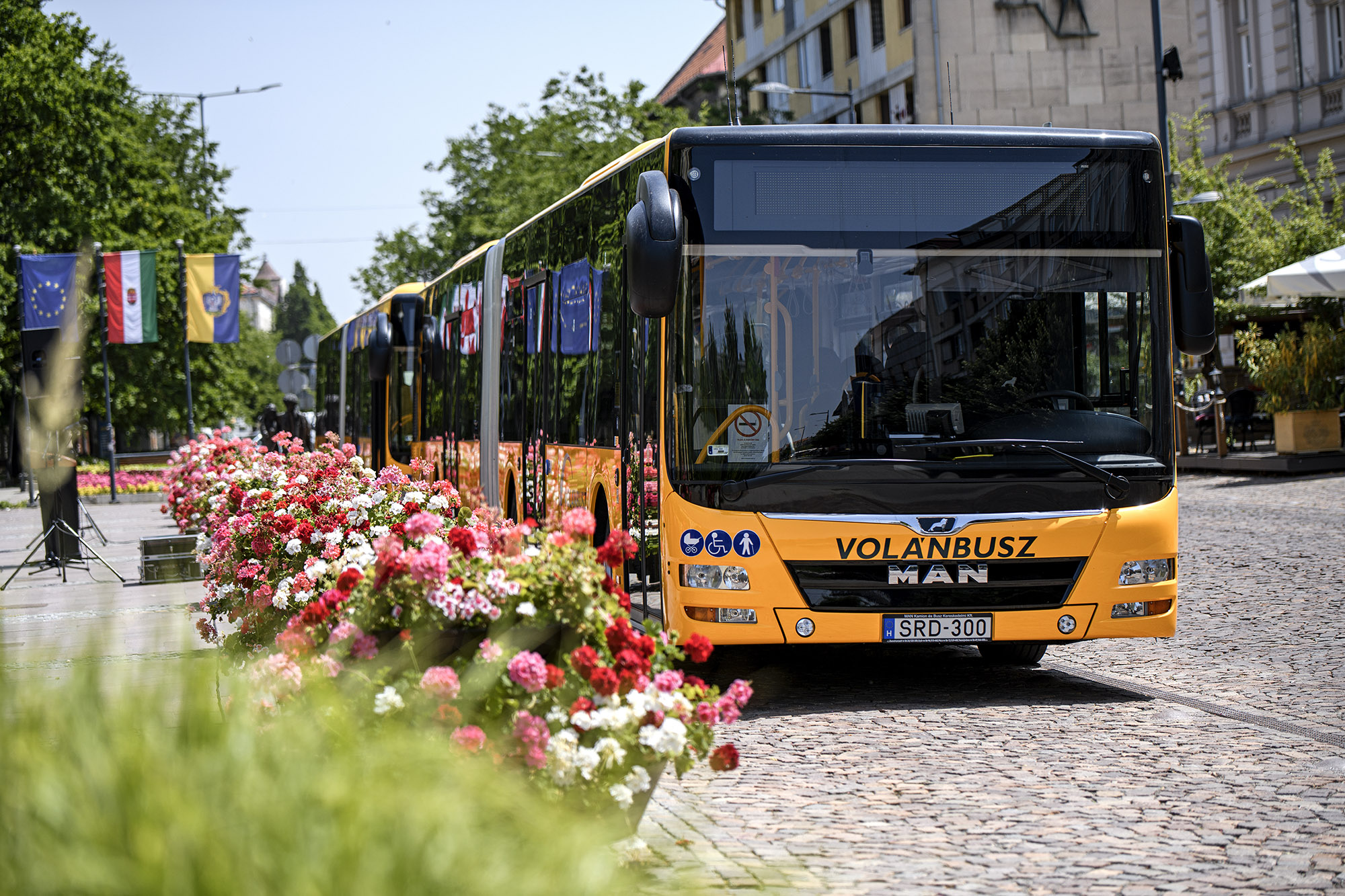 A képen az újonnan forgalomba helyezett MAN Lion’s City GL A23 típusú csuklós autóbusz látható.