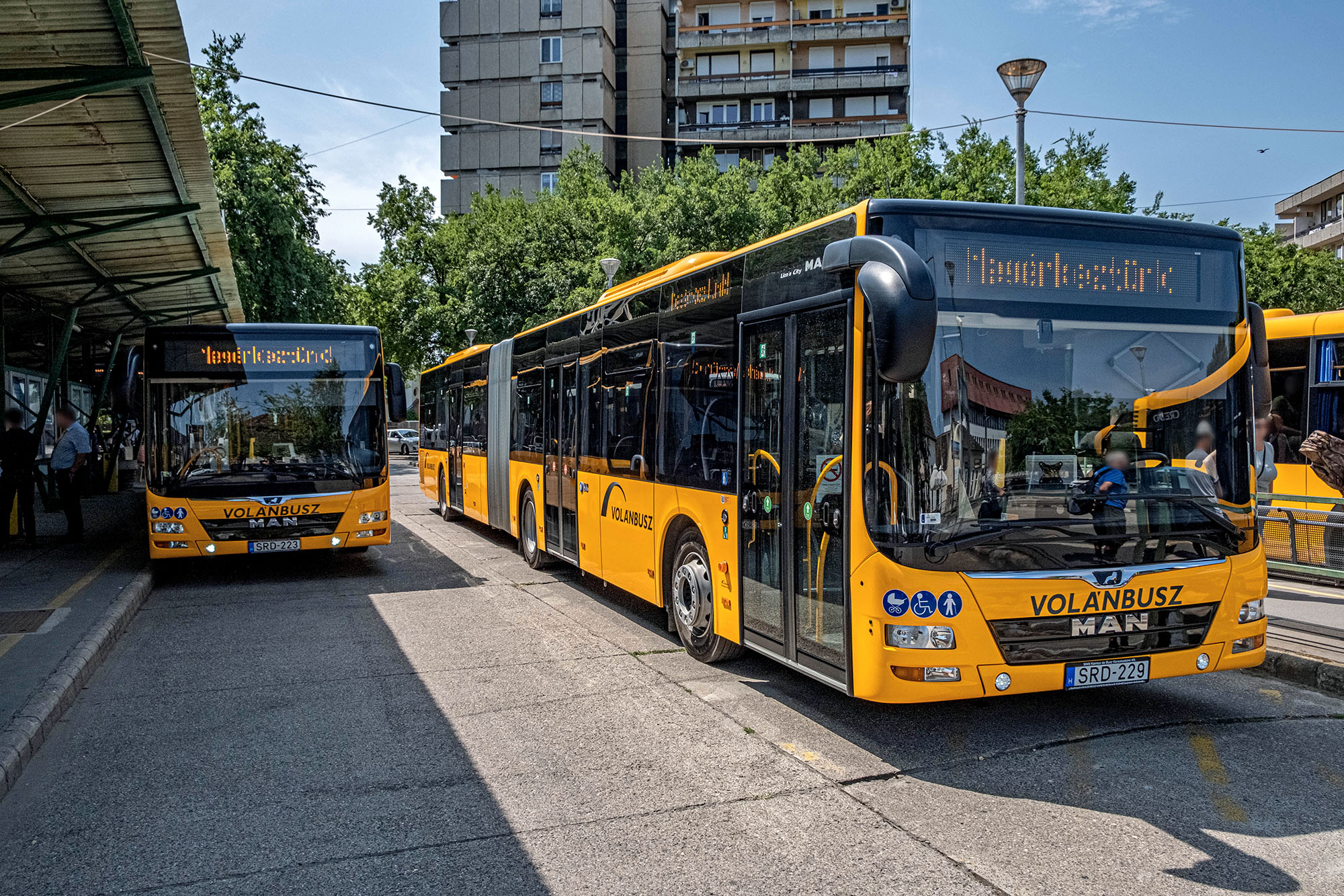 A képen a két új MAN Lion’s City GL A23-as típusú autóbusz látható a Váci autóbusz állomáson.
